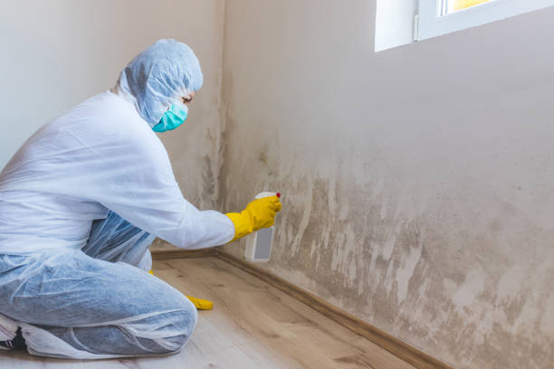 Mold Remediation specialist working in Issaquah