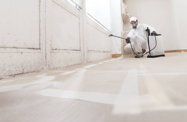 Post-remediation clearance in Issaquah